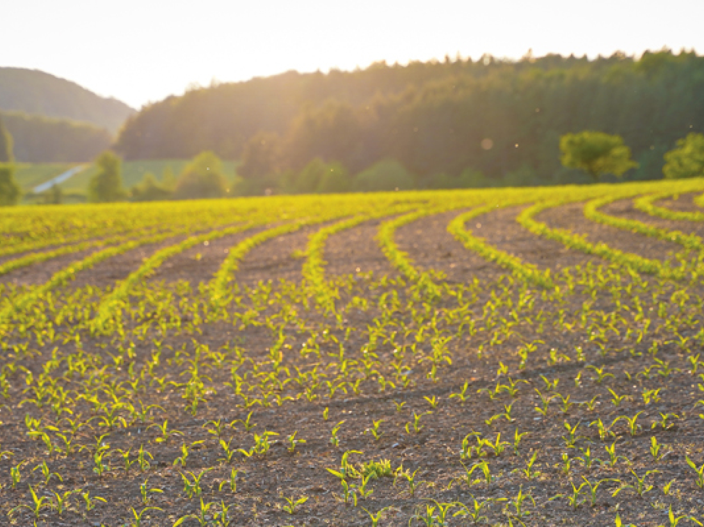 The Needs of Green Chemistry