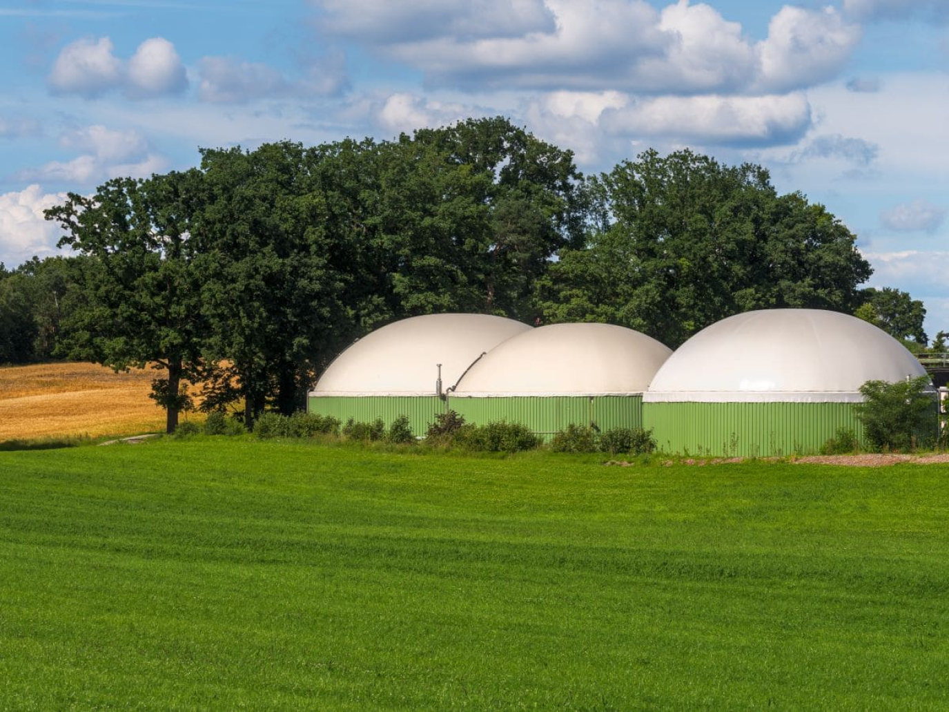Renewable Matter launches its new “Features” section
