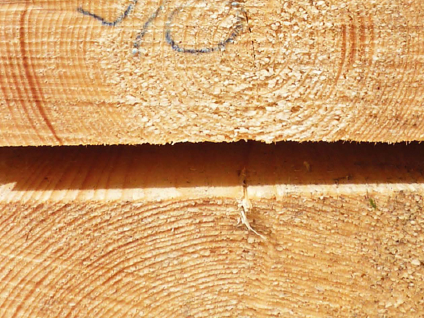 The Revival of Eco-Local Materials