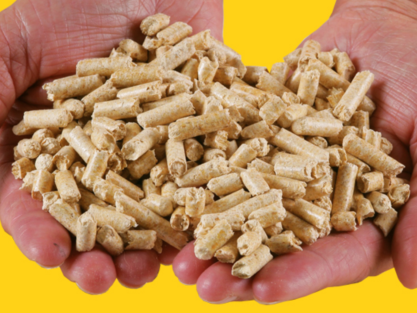 Europe Desperately Seeking Biomass