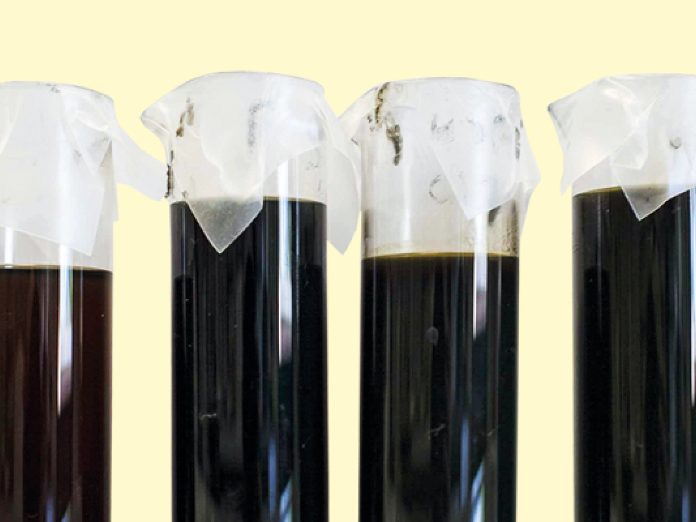 Conou, the First Roadshow Devoted to Businesses Has Kicked Off