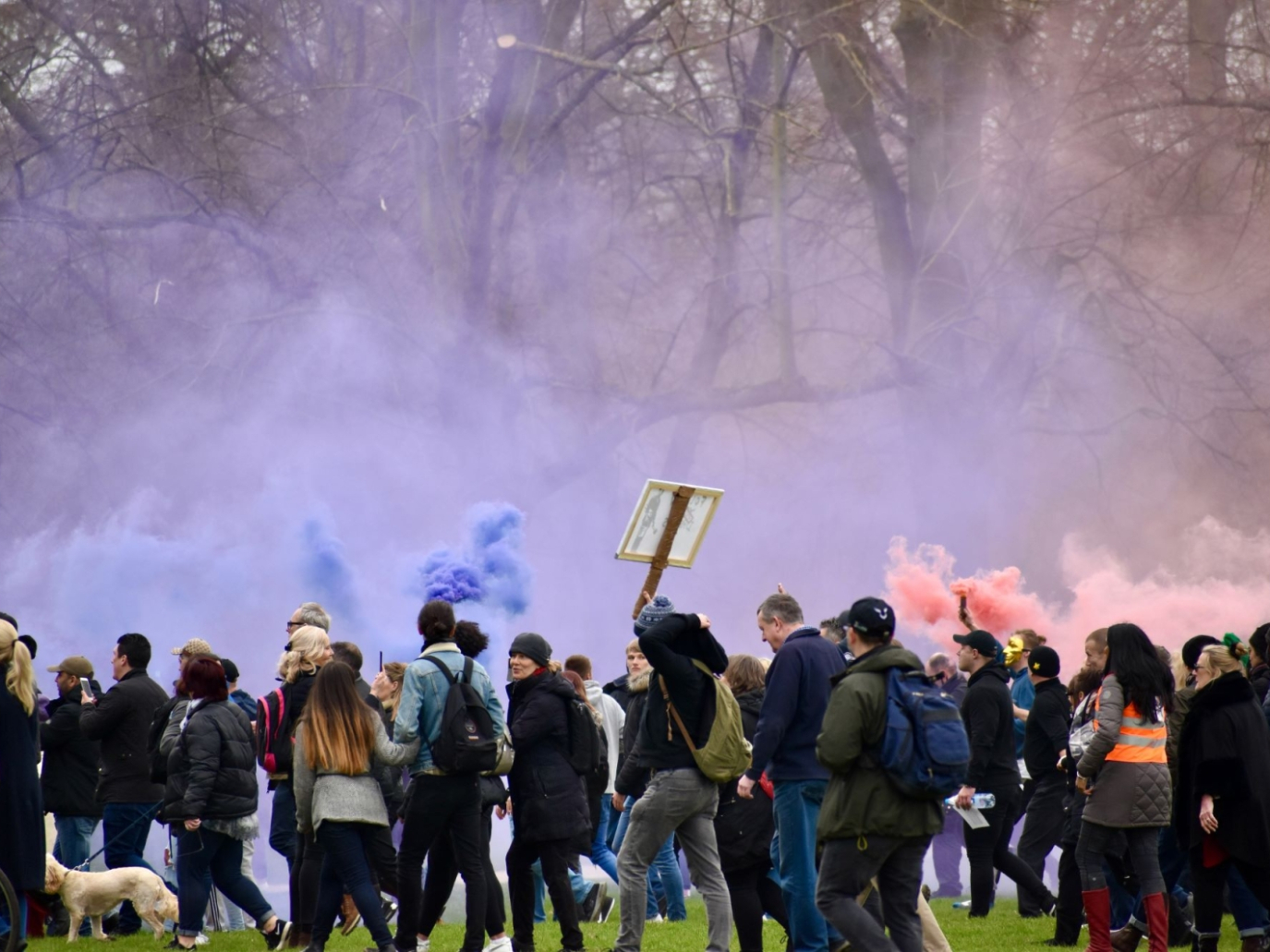 Why are farmers protesting in Europe and the peculiarity of the Italian case