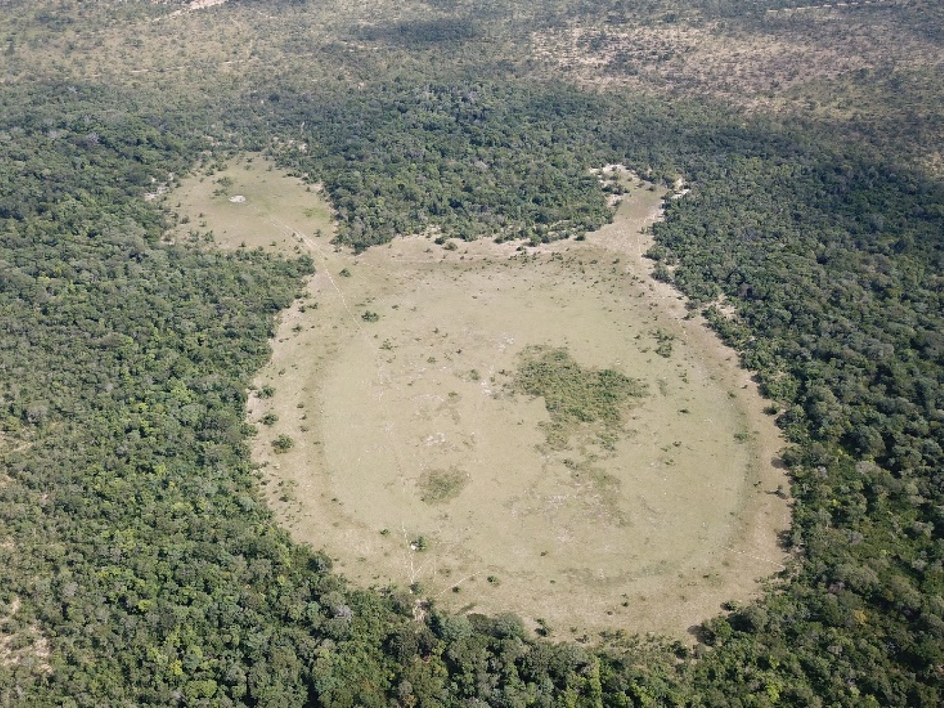 Natural hydrogen: a geological curiosity or the primary energy source for a low-carbon future?