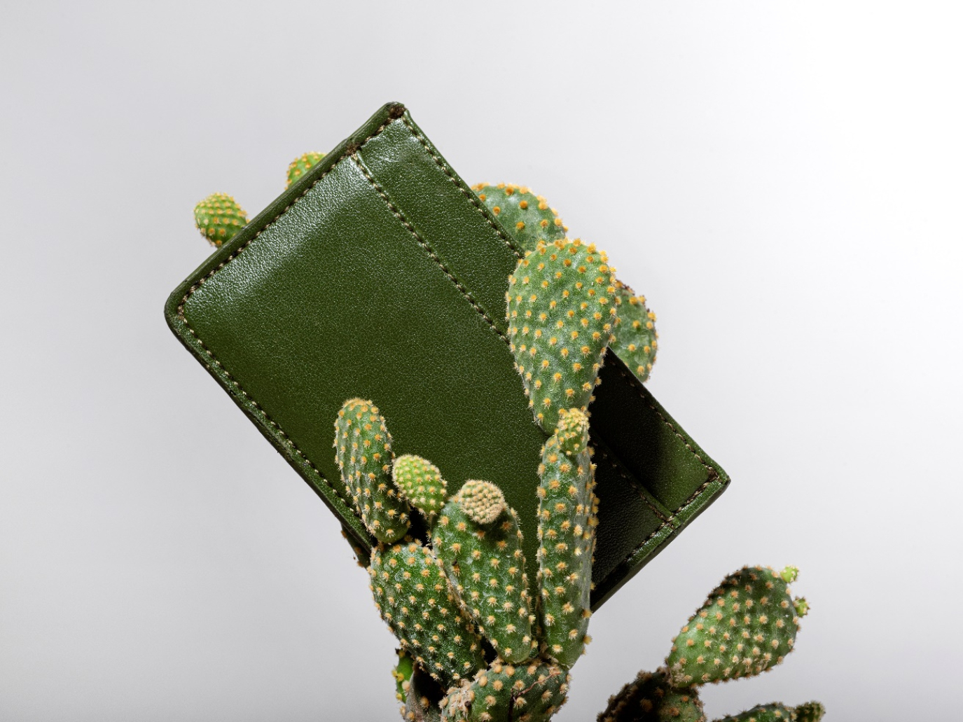 Cacto: il futuro della pelle vegana ha le spine