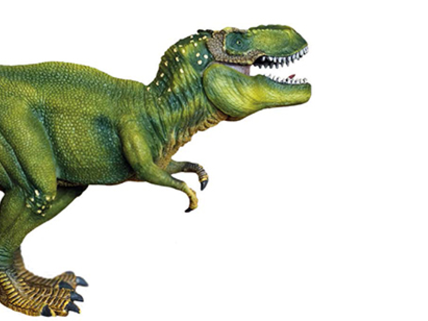 L'età  della plastica