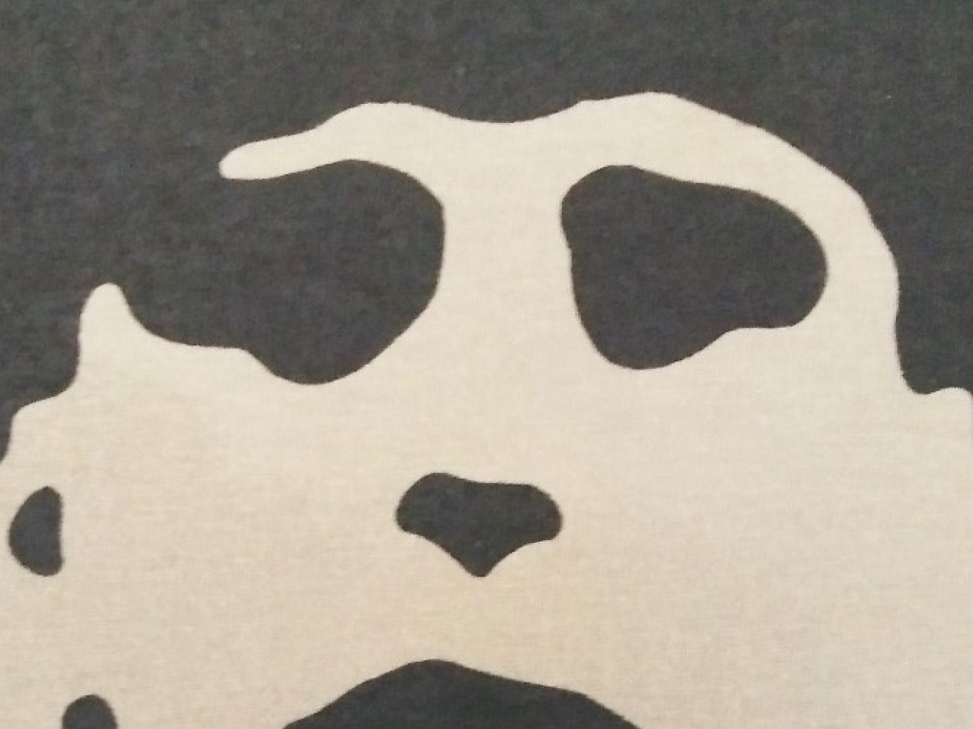 Joseph Beuys: in mostra l’artista sciamano precursore dell’ambientalismo