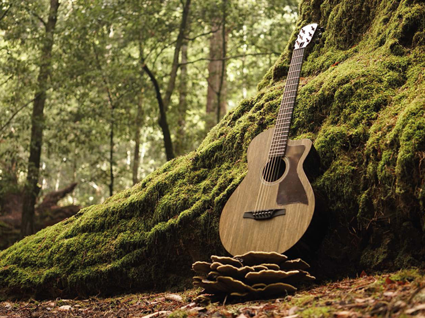 Lingrove, dagli scarti del lino il biomateriale Ekoa