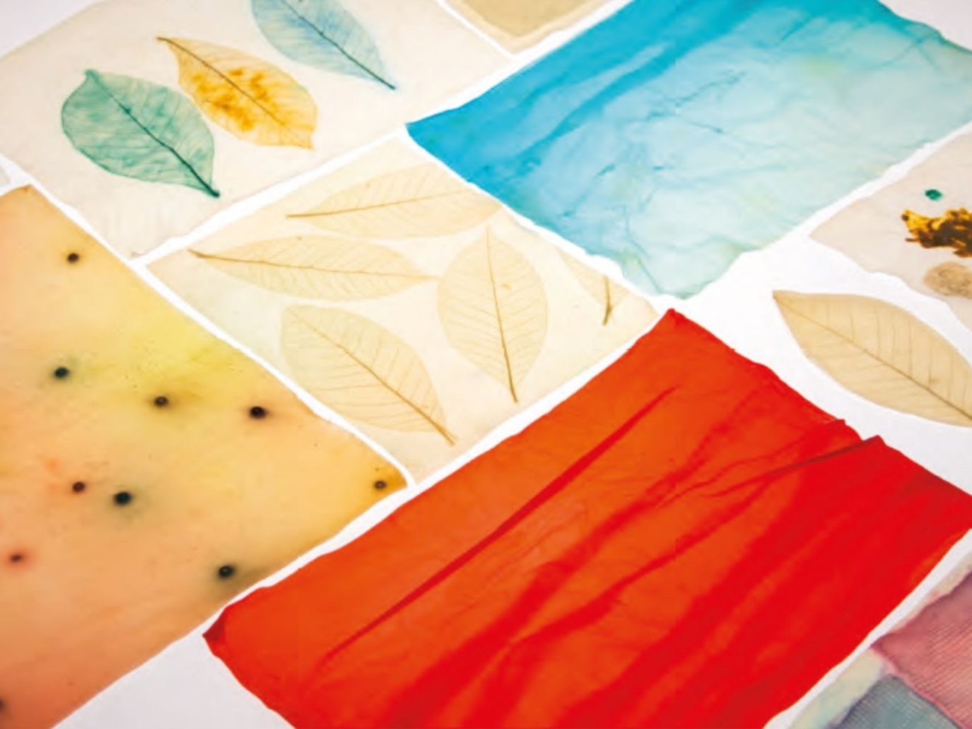 Neomateriali 2.0: la mappa aggiornata dei materiali circolari 