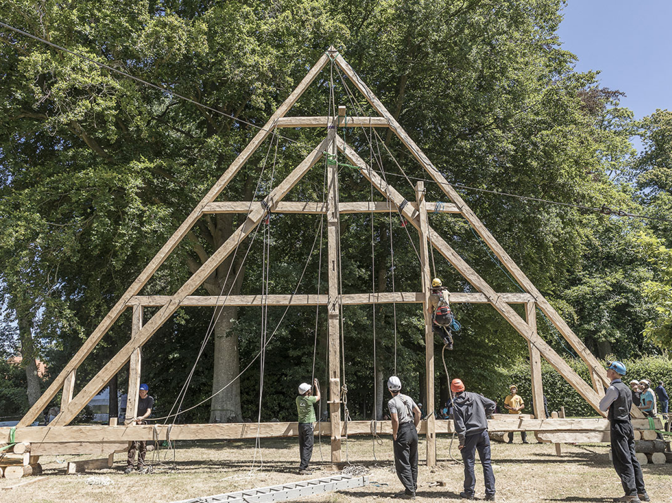 Notre-Dame de Paris, la rigenerazione di un mito passerà per il legno