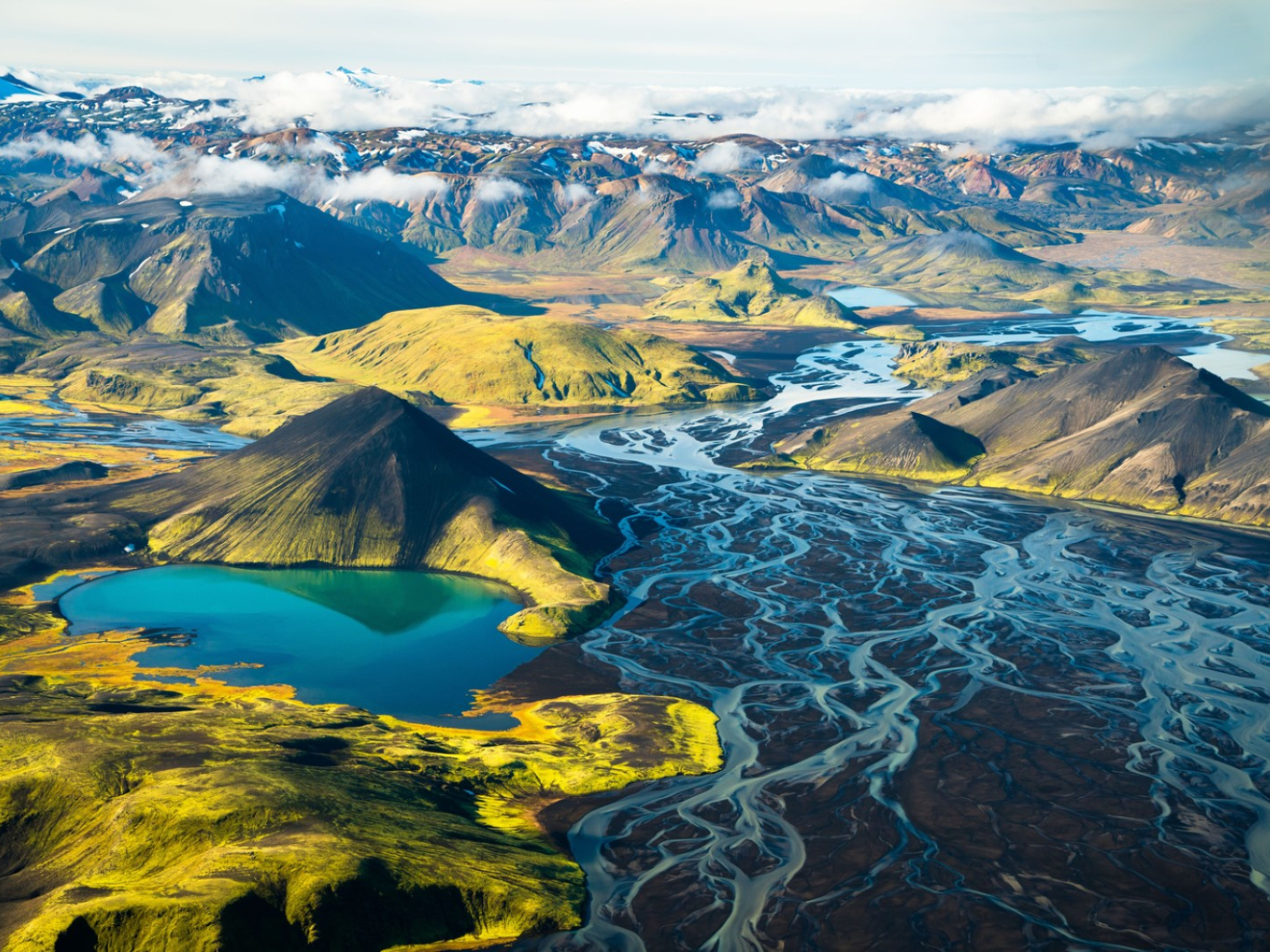 Torna CinemAmbiente: il meglio del cinema ambientale internazionale a Torino