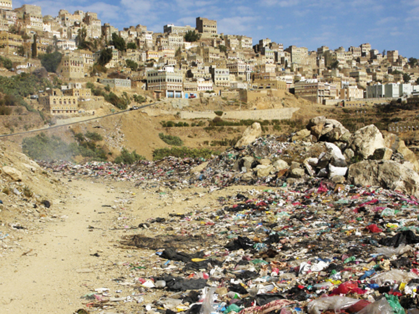 Fighting Cholera with Waste