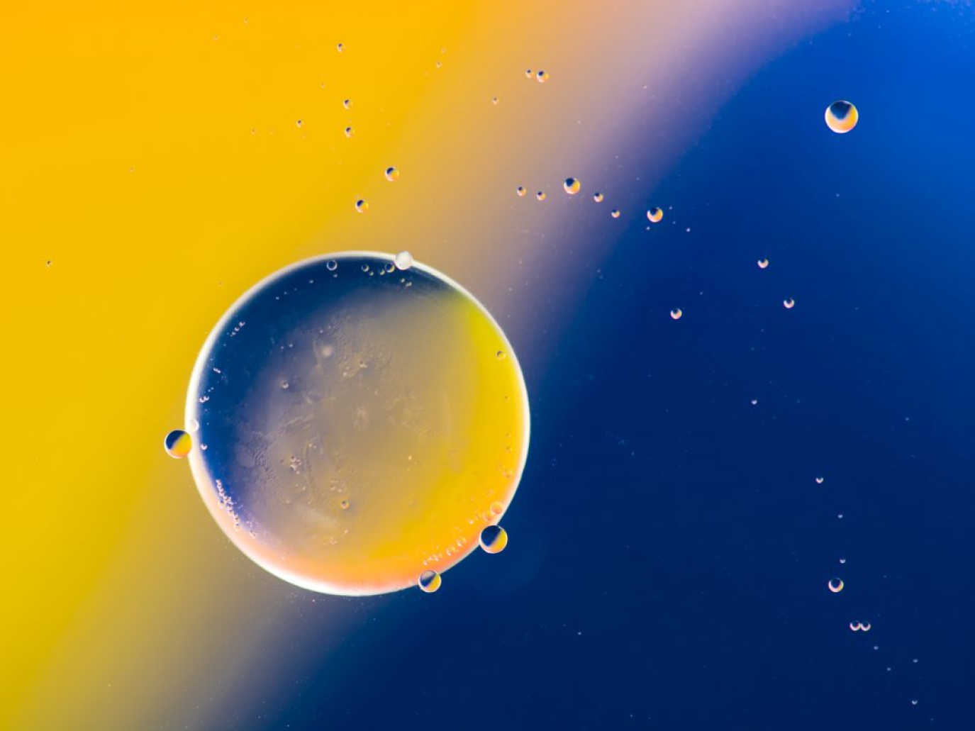 C’è fermento nel mondo della decrescita  