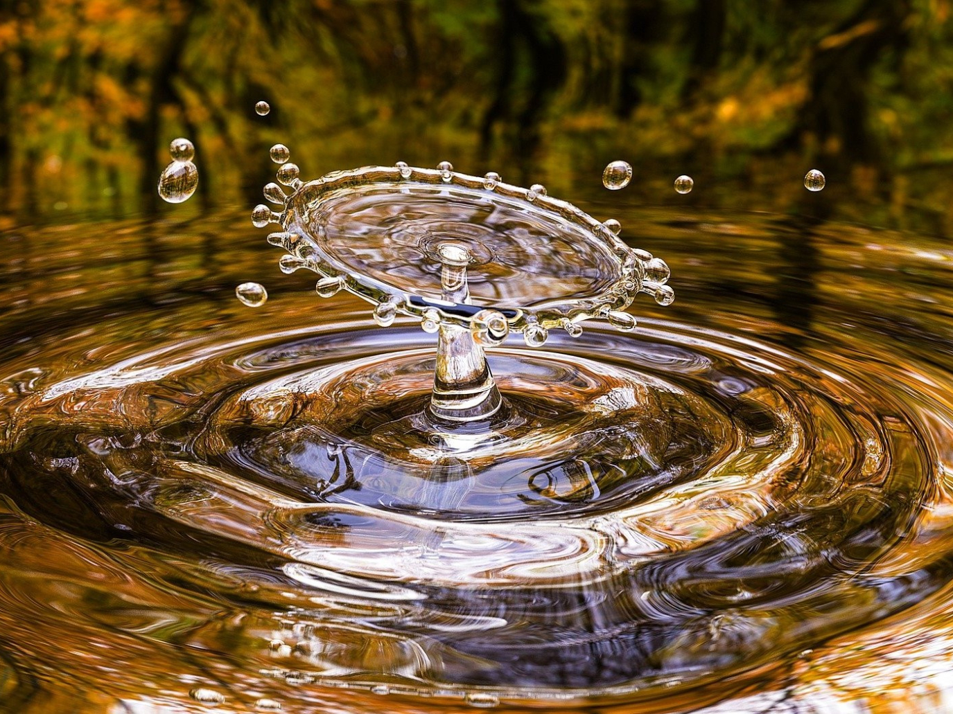 Giornata Mondiale dell’Acqua: tutte le iniziative del Gruppo CAP