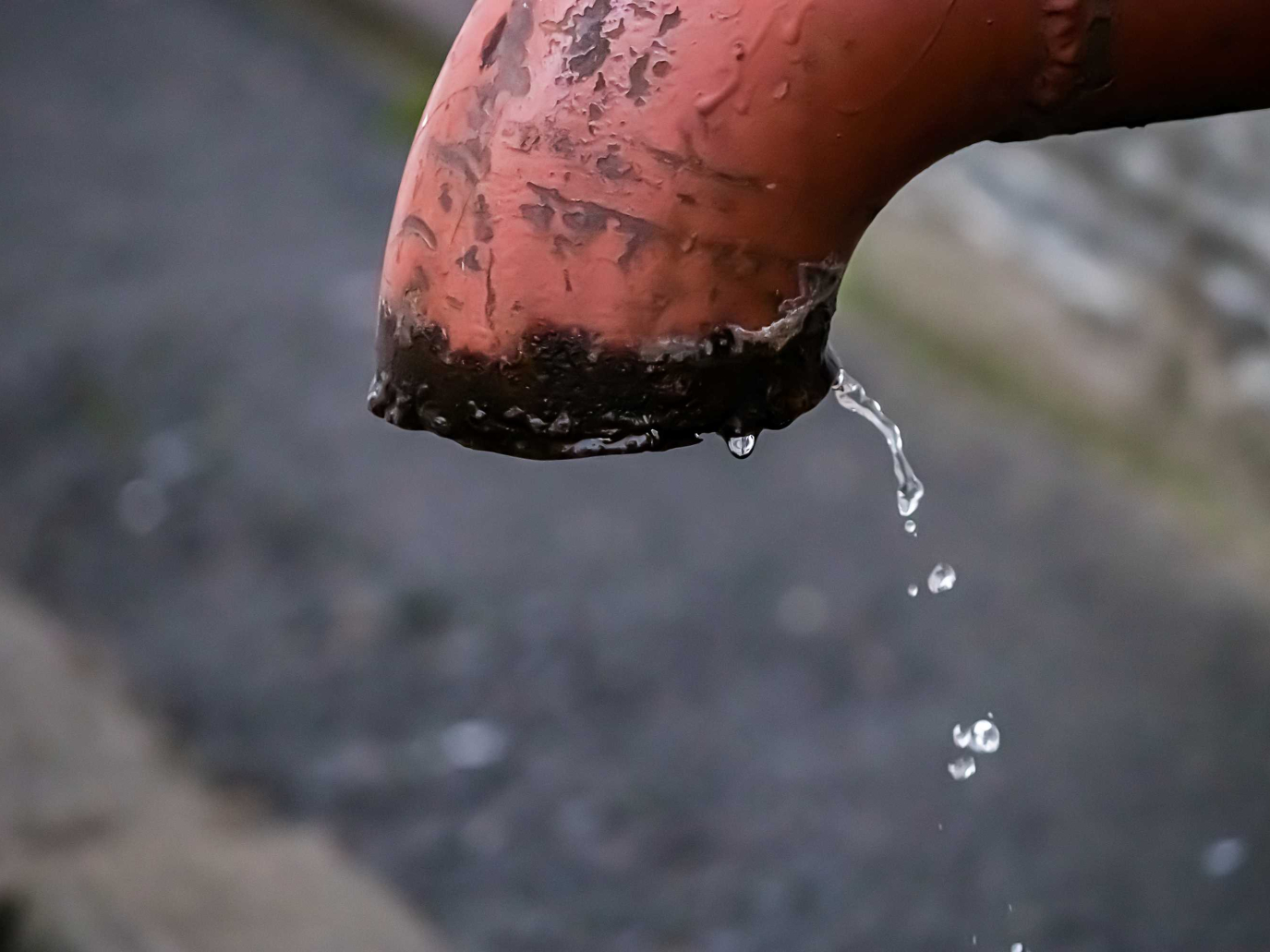 Europa verso il Blue Deal: Il CESE apre i lavori sull' acqua 