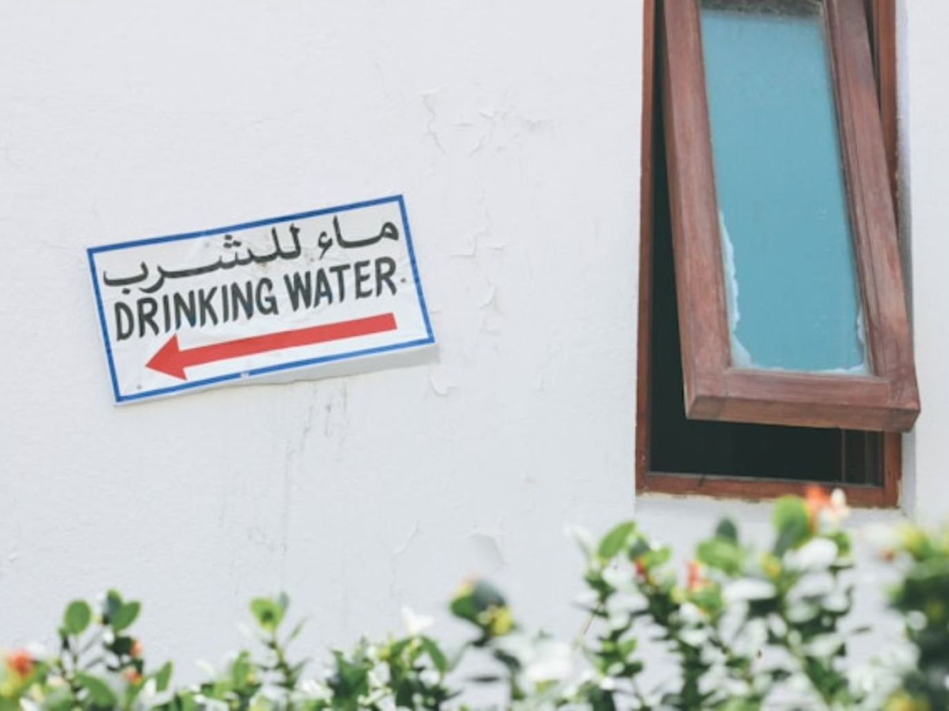 Water: 1 in 4 without safe access. Arrojo-Agudo: the real figure is double that