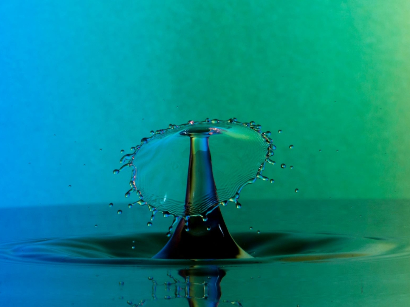 La goccia ha fatto traboccare il vaso