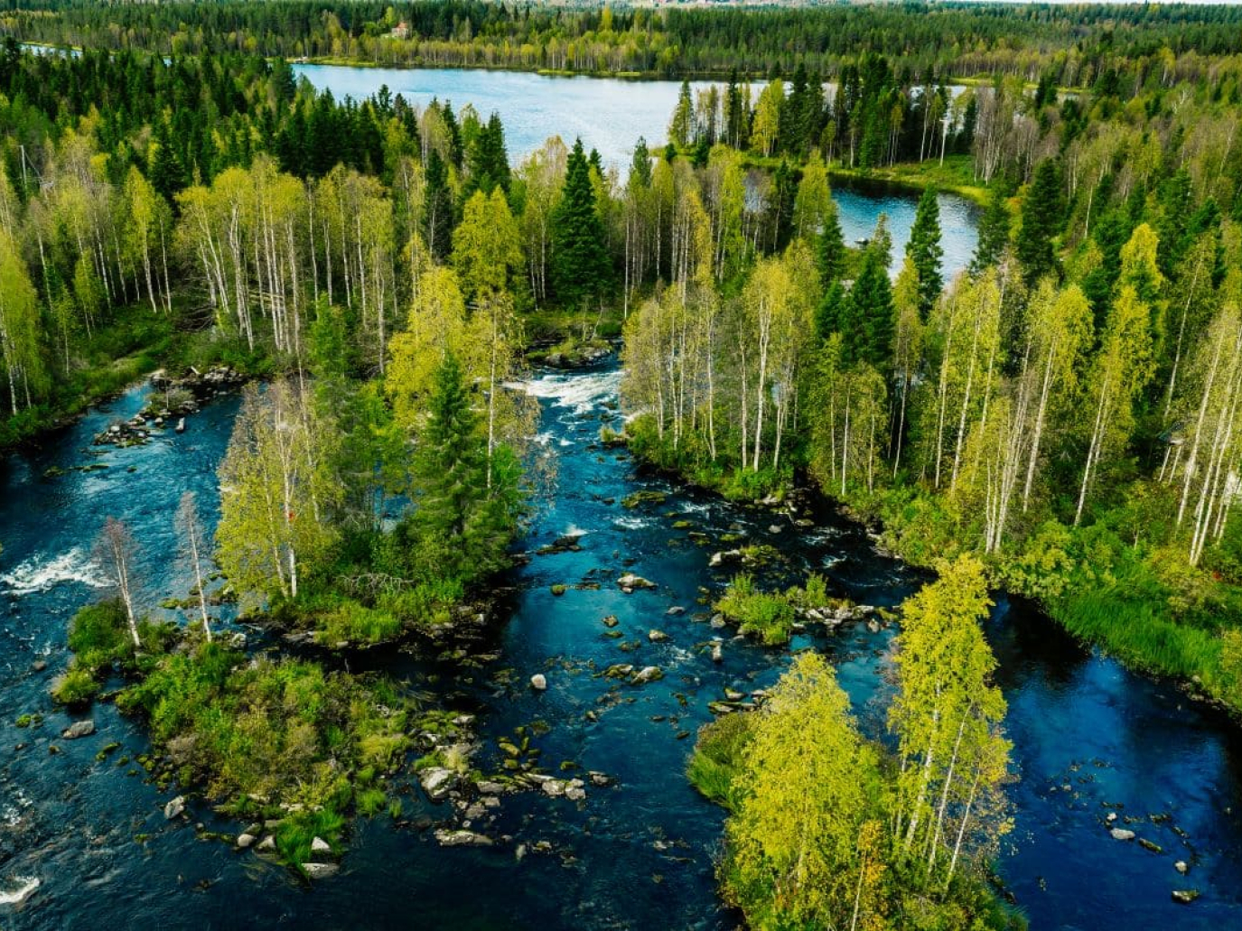 Going with the flow: water becomes economic and biodiversity driver in Europe