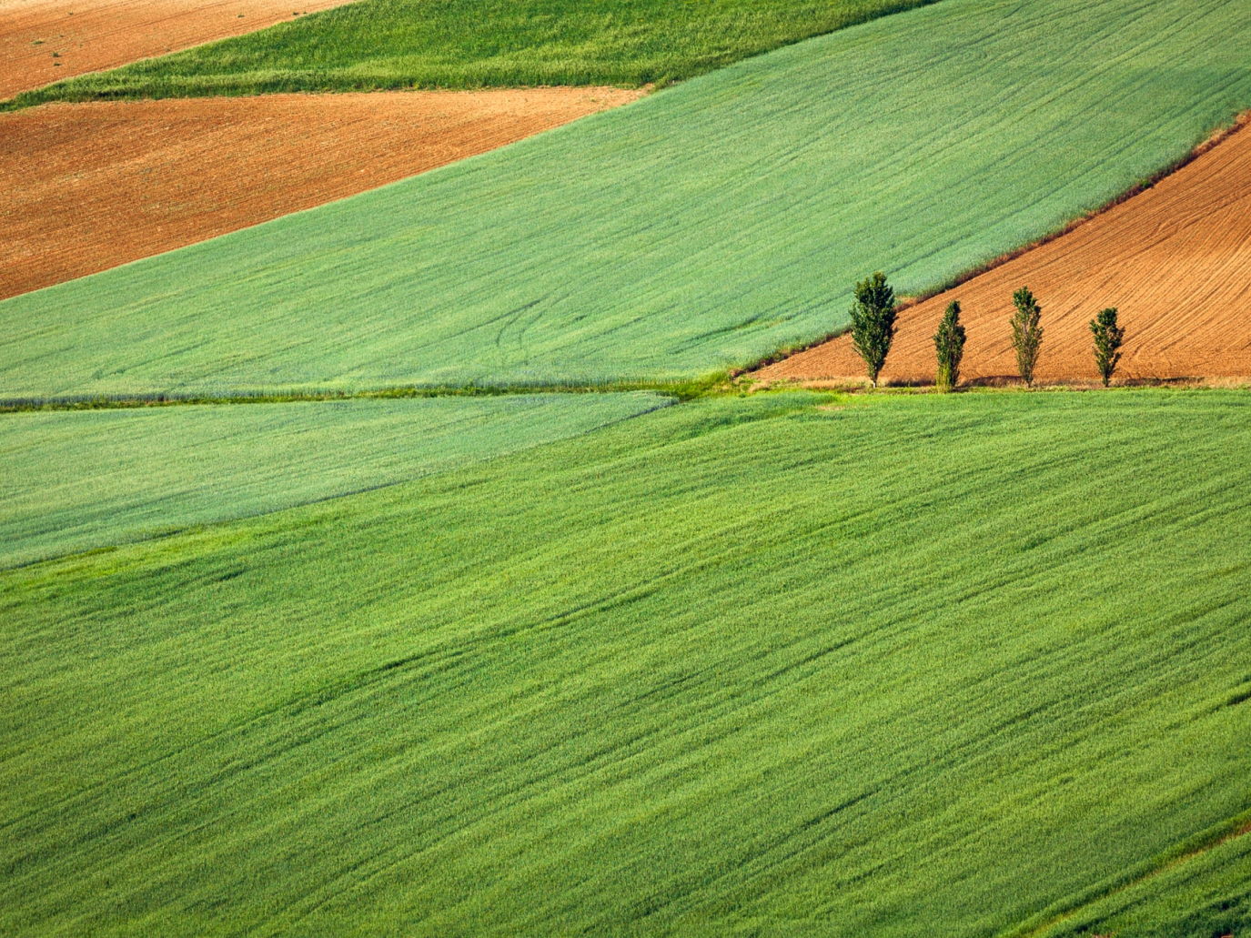 Nasce il Consorzio Italiano Agricoltura Circolare