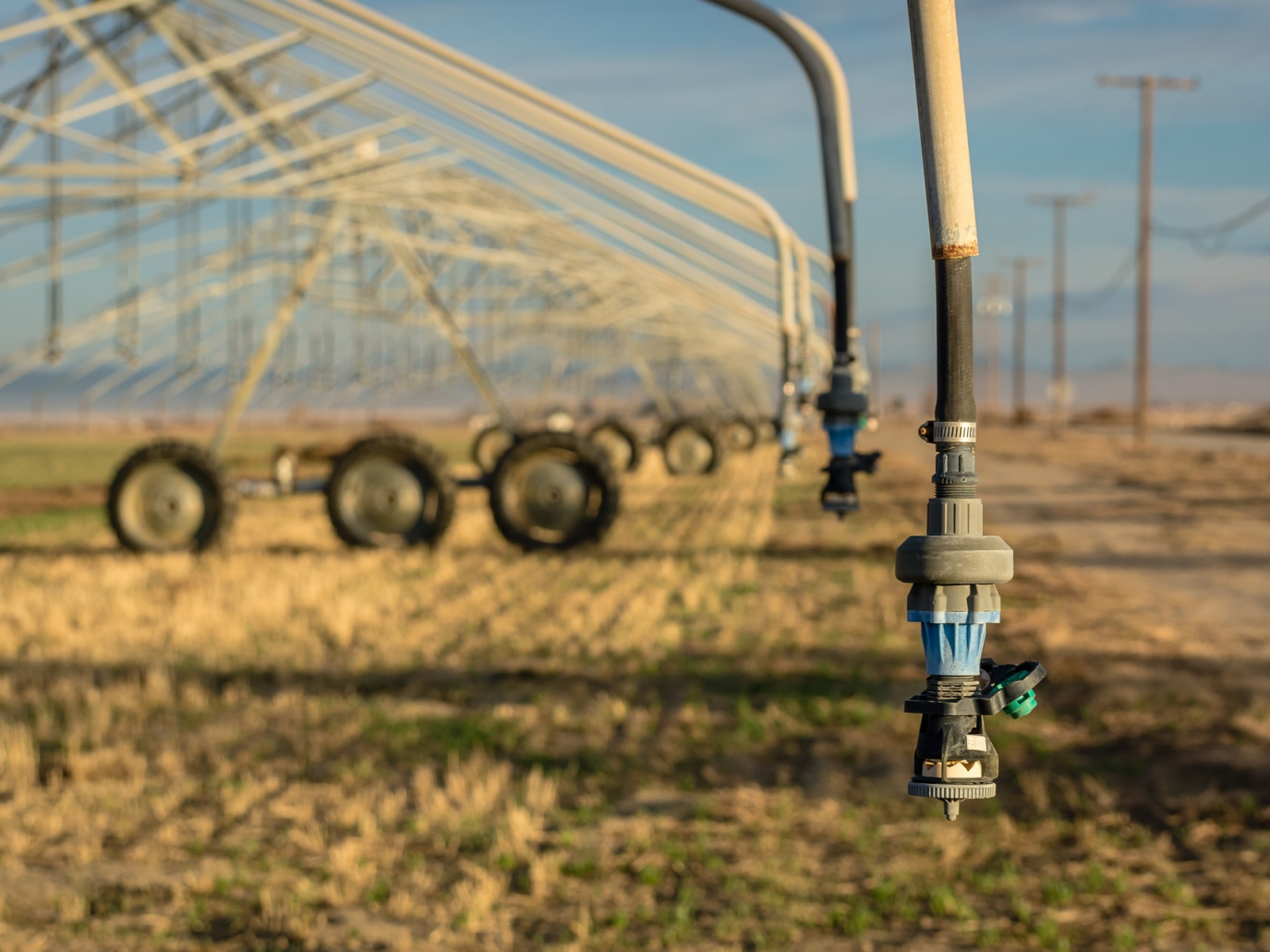 Nonostante la siccità, solo il 5% delle acque reflue depurate va all’agricoltura