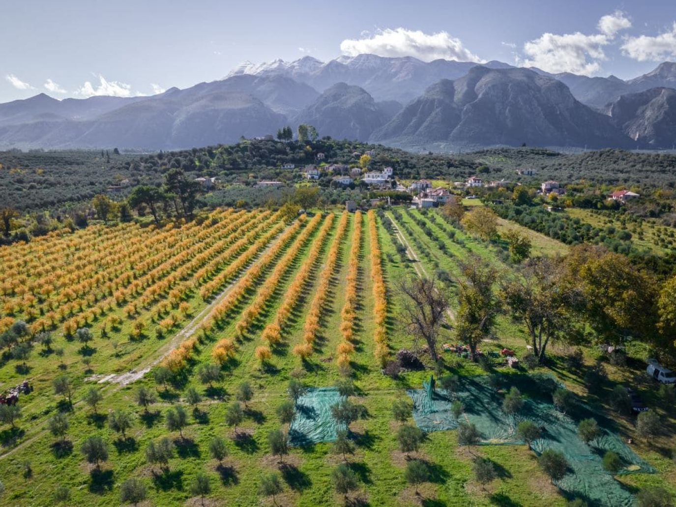 Agricoltura rigenerativa, pubblicato lo studio più ampio al mondo