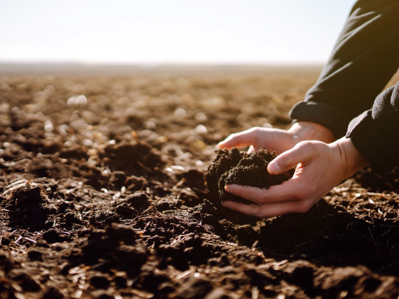 Agricoltura rigenerativa: il Landbanking Group inserisce la natura nel bilancio aziendale