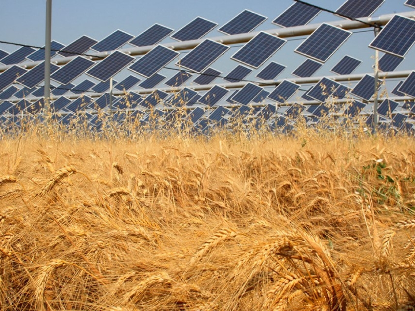 ENEA mappa l’agrivoltaico italiano