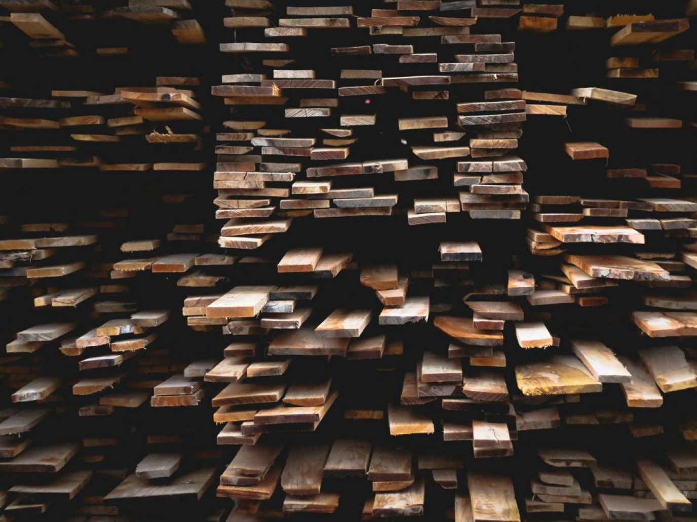 Startup, Urban Machine: robotica e ai per recuperare il legname di scarto