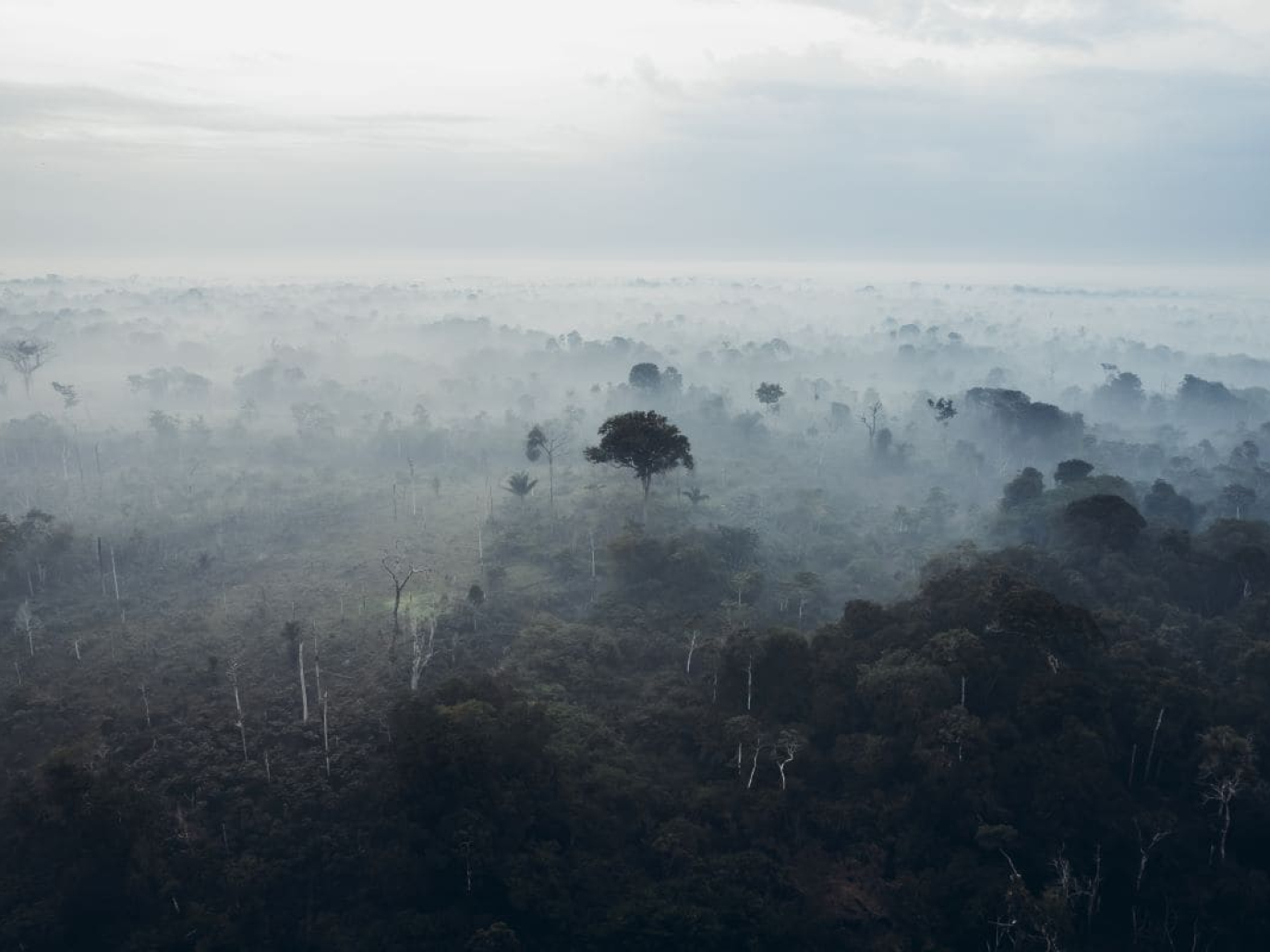 L'ultima battaglia di Hipólito: quando difendere l'Amazzonia costa la vita