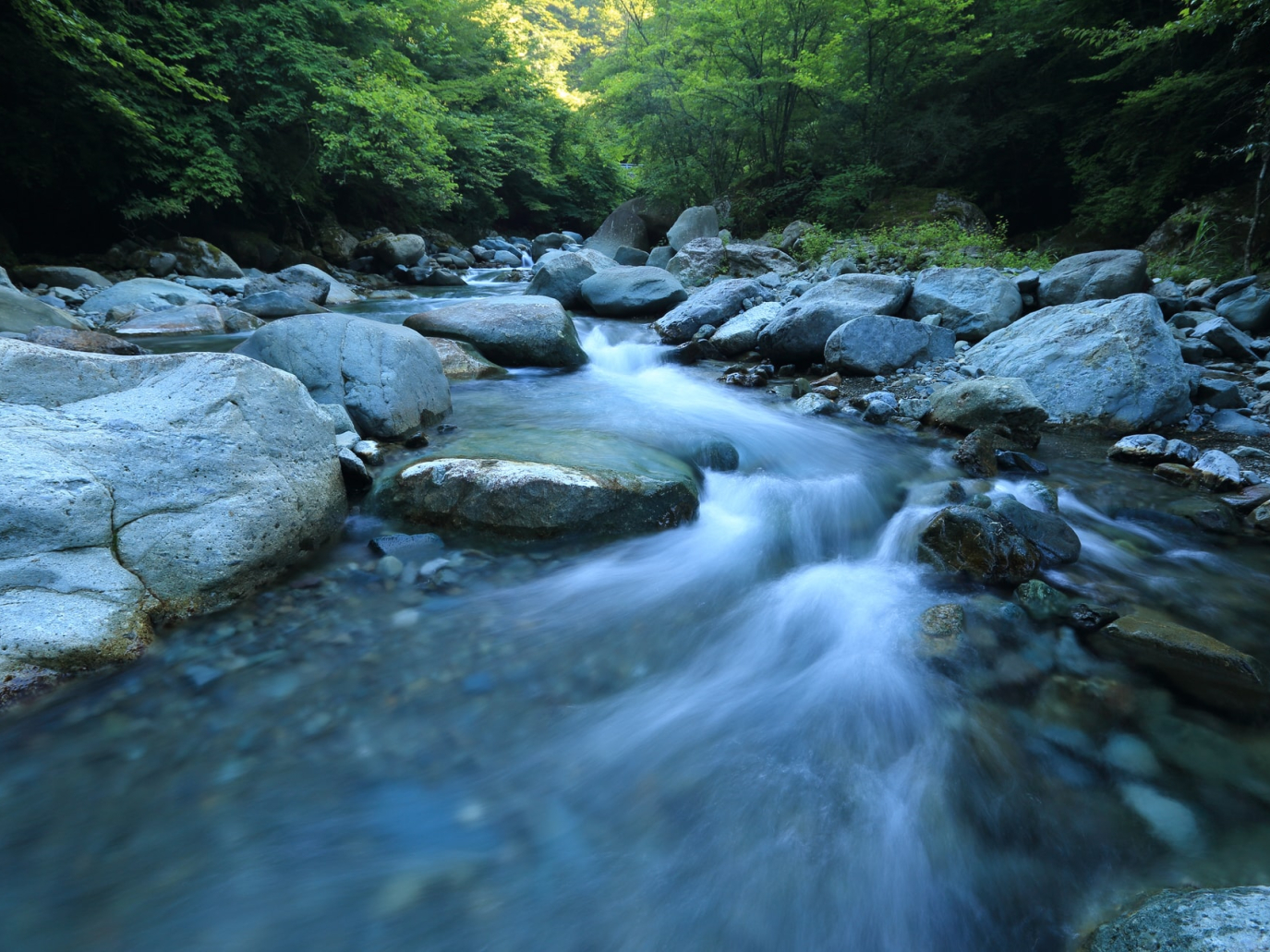 Prevenire i danni ambientali: presentata la certificazione Uni Ambiente Protetto