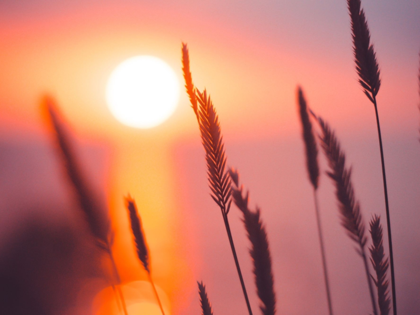 Dieci parole per il 2024