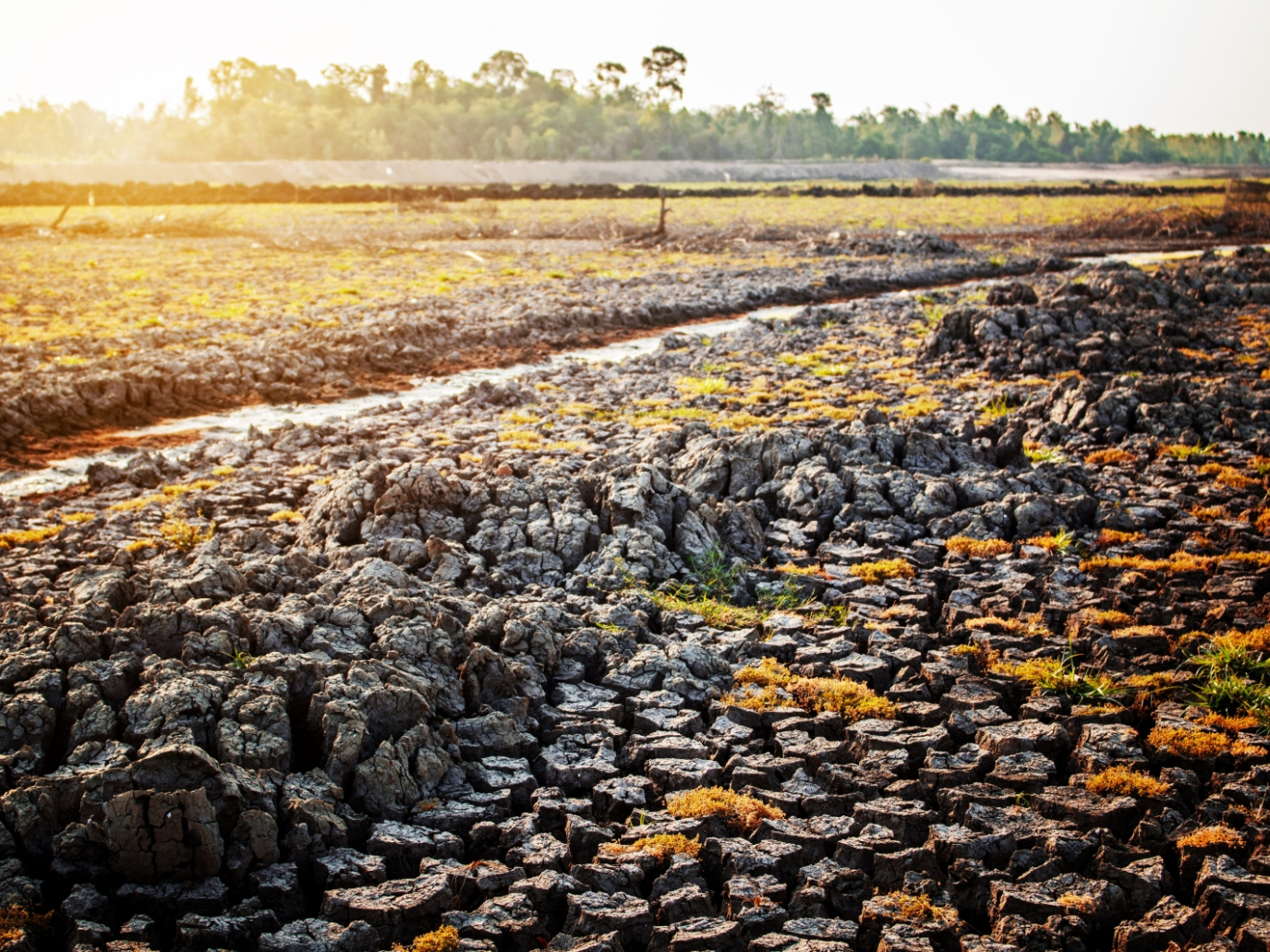Il suolo italiano sta male: siamo in tempo per curarlo, ma dobbiamo agire subito