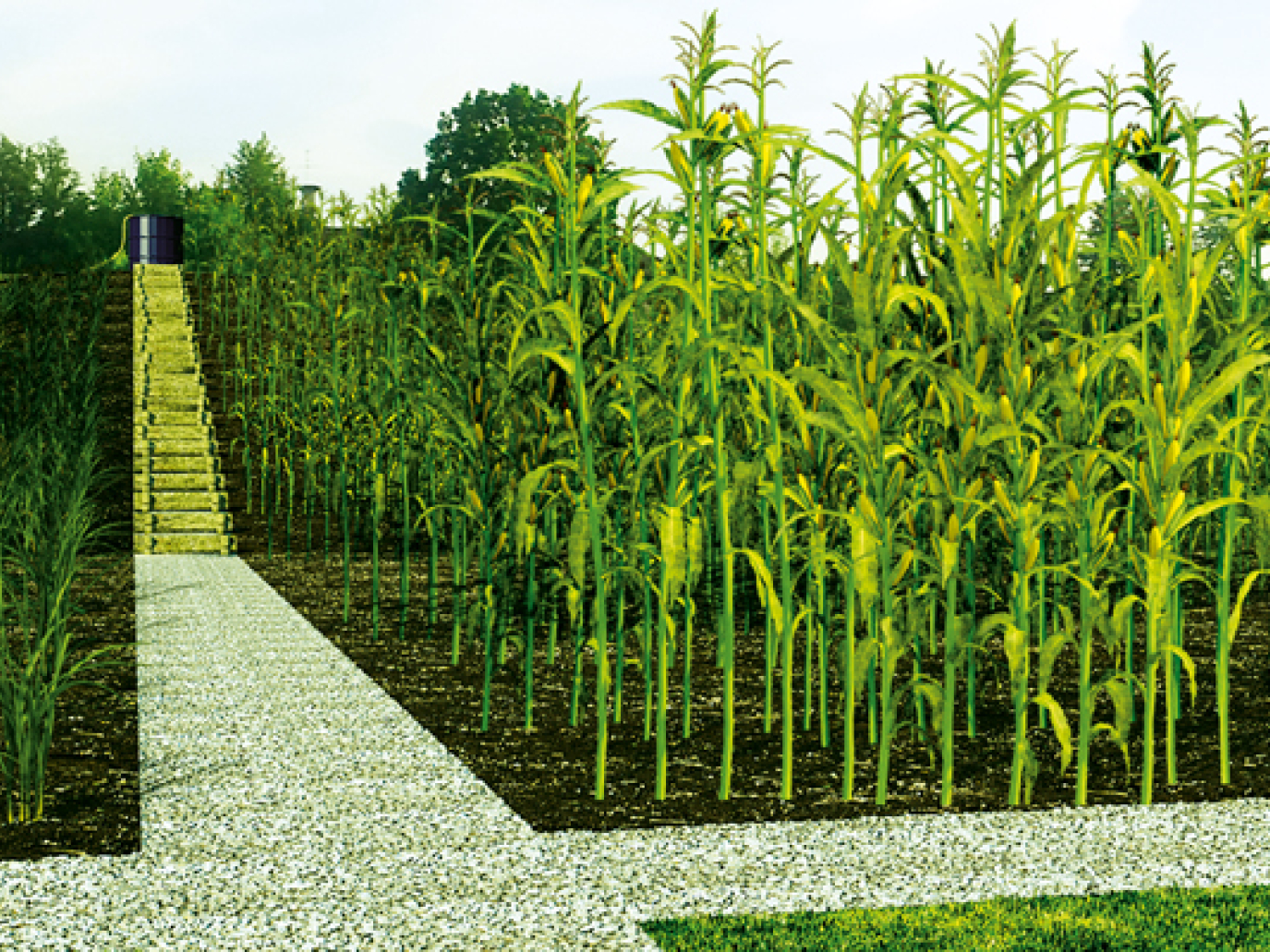 The Po Valley: An Open Air Biorefinery