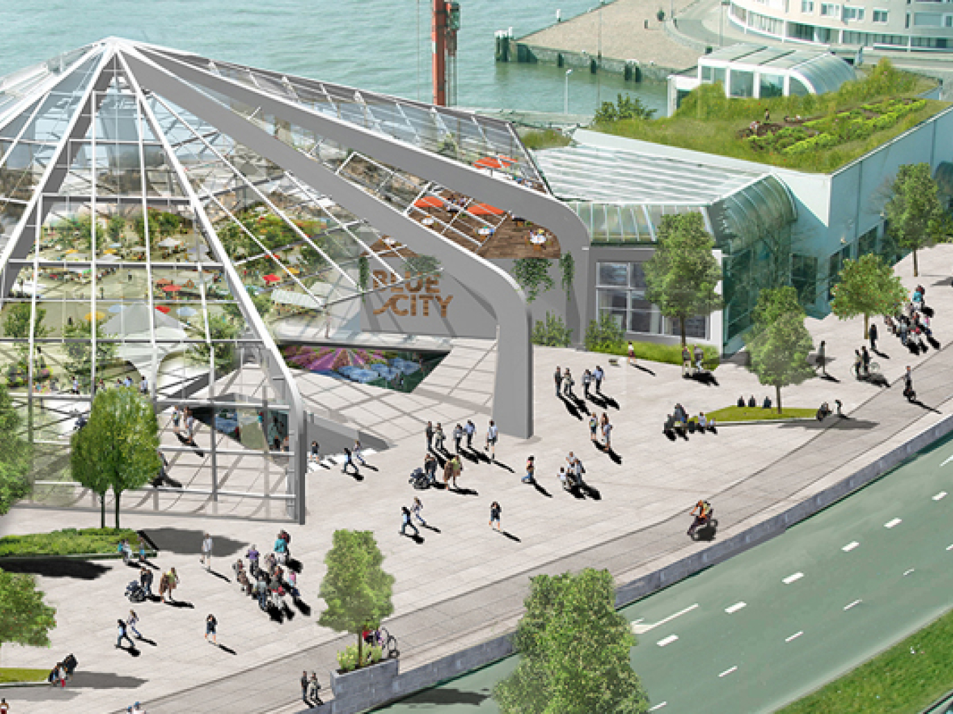 The Blue Revolution Playground