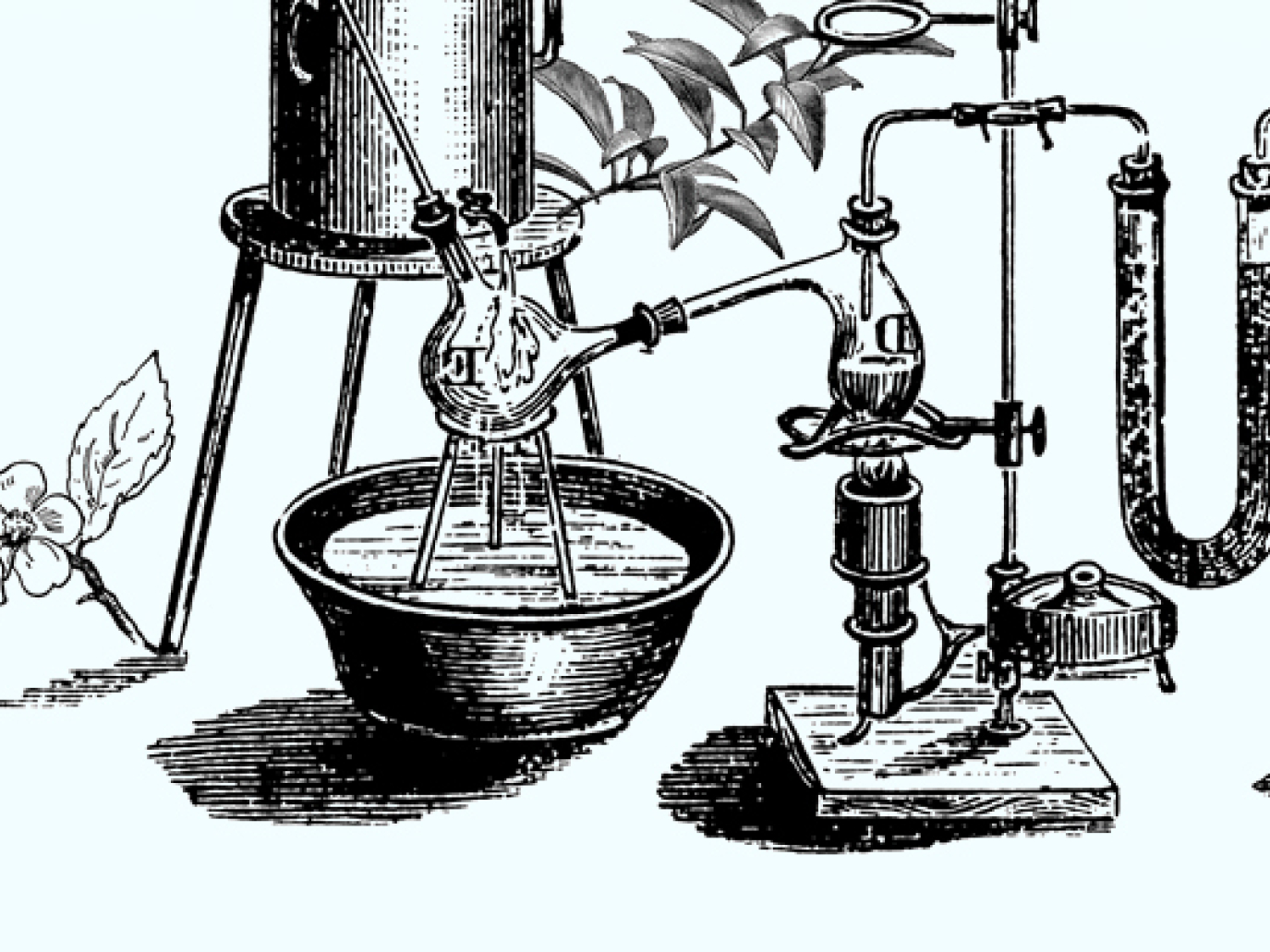 Lavori verdi e circolari