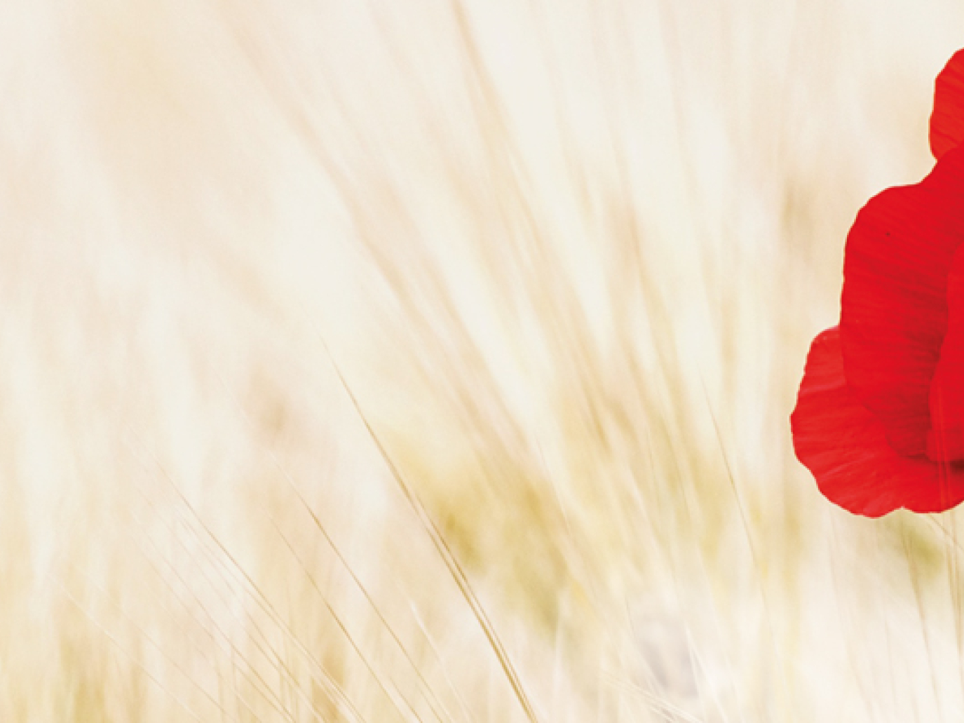 Pushing the Limits of Technology, Recognizing the Limits of Natural Resources