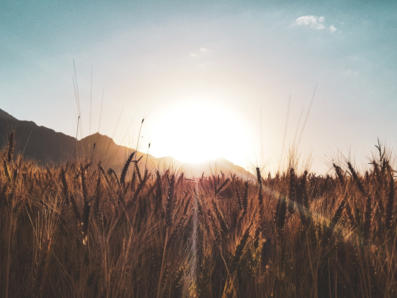 Biocarburanti, dal G20 di Nuova Delhi nasce la Global Biofuel Alliance