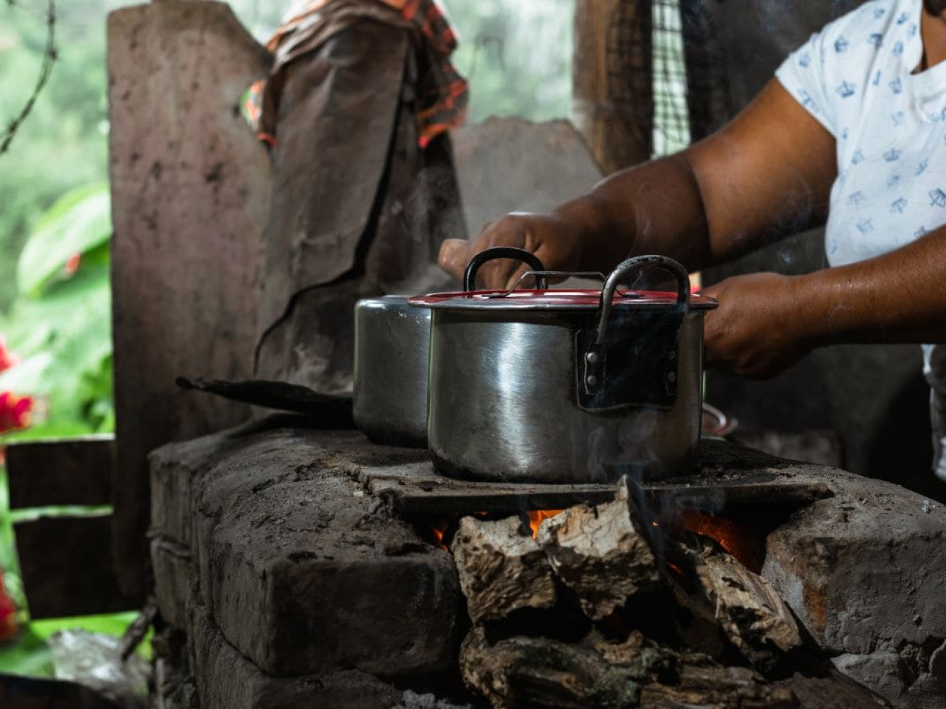 Biodiversità e salute: una connessione vitale per il nostro futuro