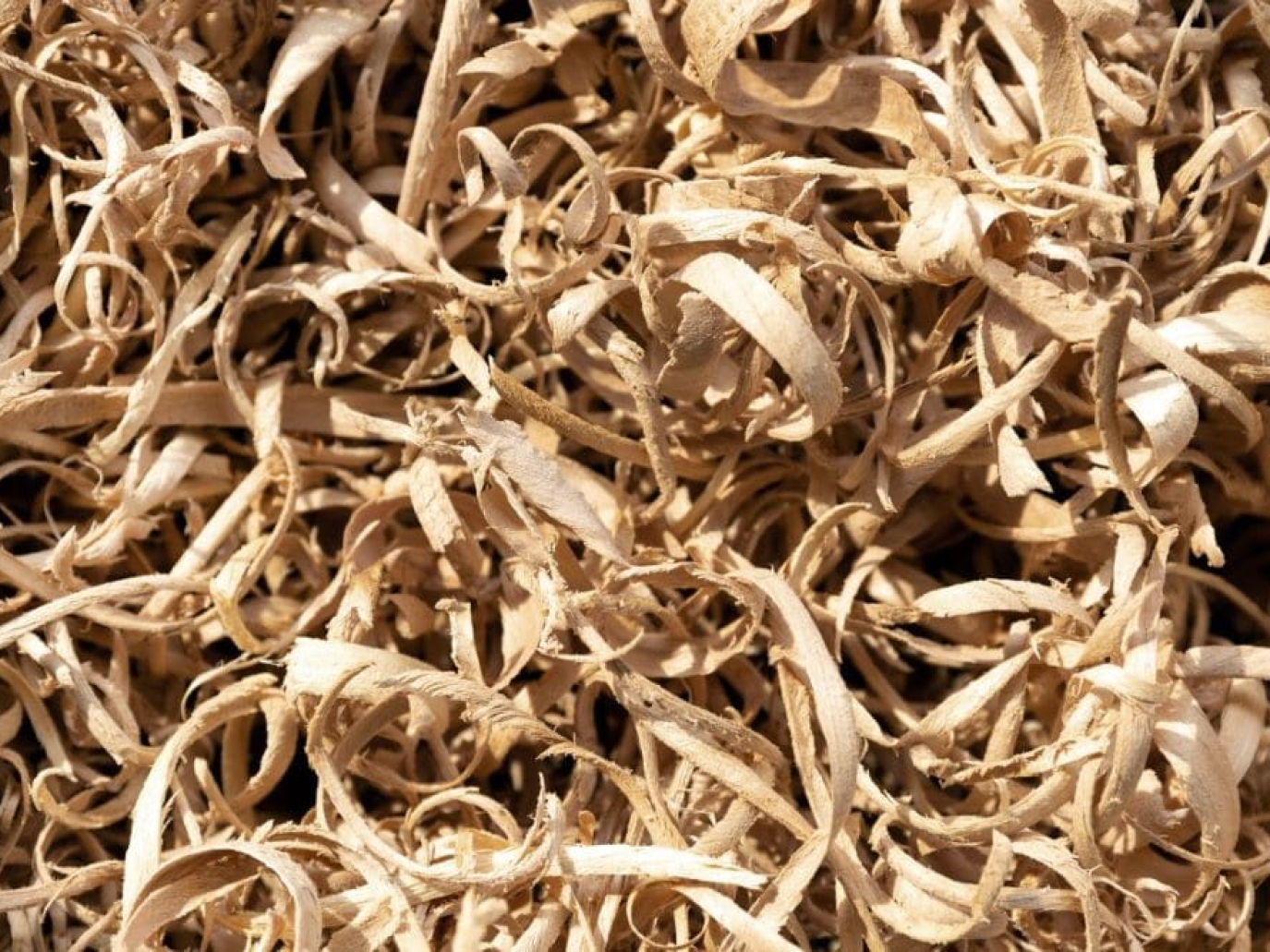 Biomassa, nuova tecnologia per convertire i rifiuti in carburanti rinnovabili