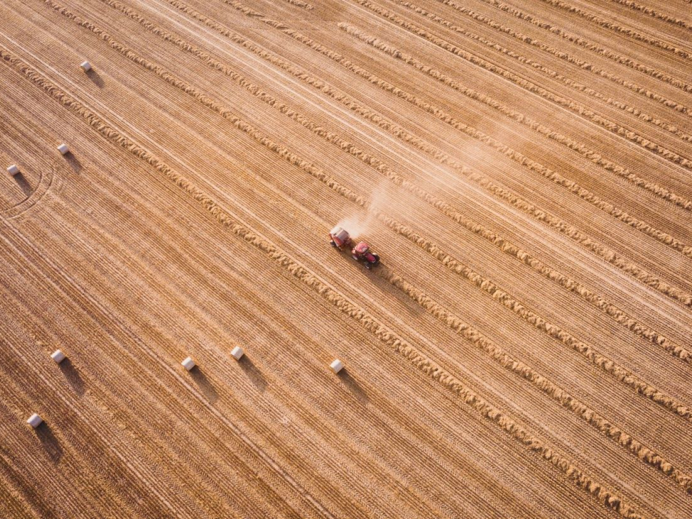 Biocarburanti da scarti agricoli: una nuova tecnologia dal Brasile