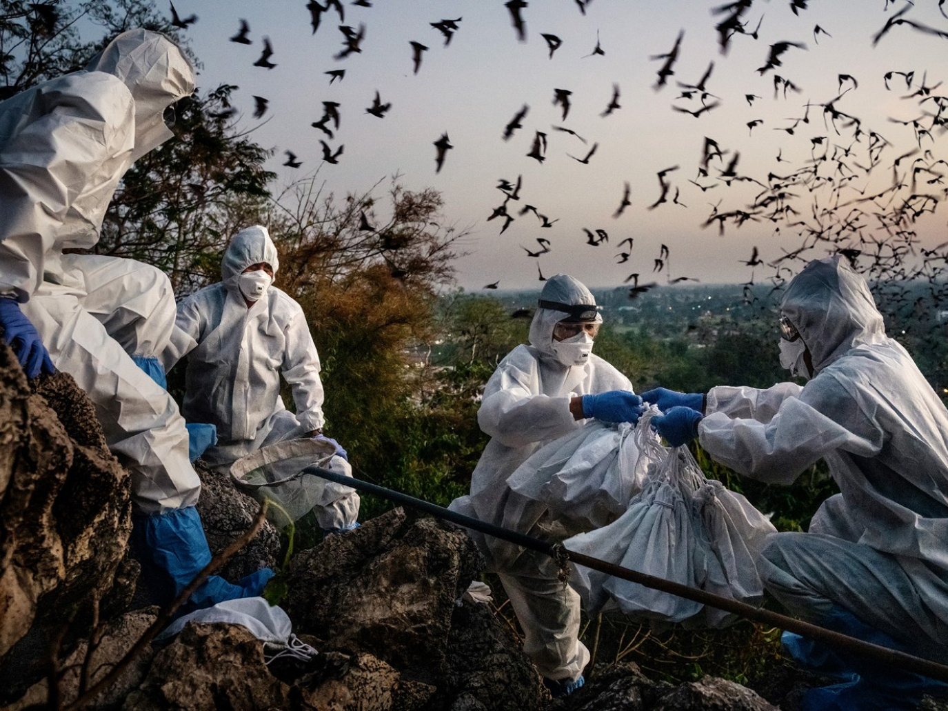 CinemAmbiente 2025: a Torino i futuri possibili oltre la crisi ambientale