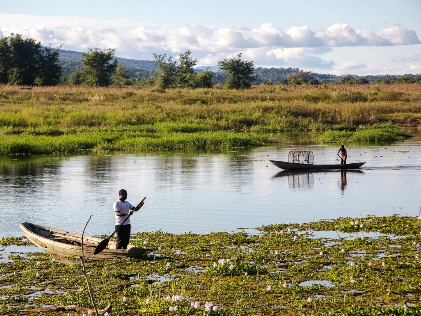 Zambia, stop alla nuova miniera di rame nel Parco nazionale del basso Zambezi