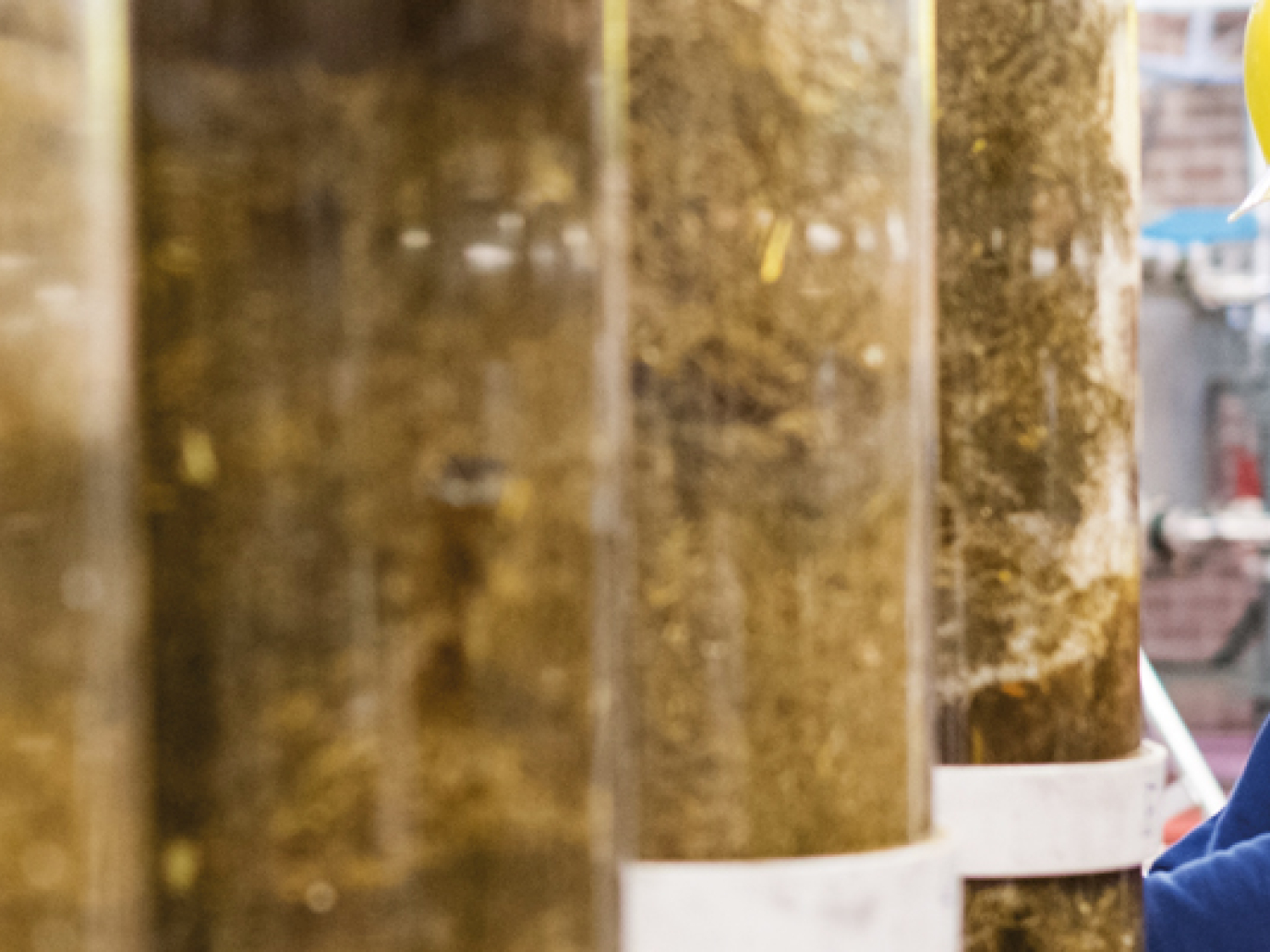 The Bio Base Europe Pilot Plant