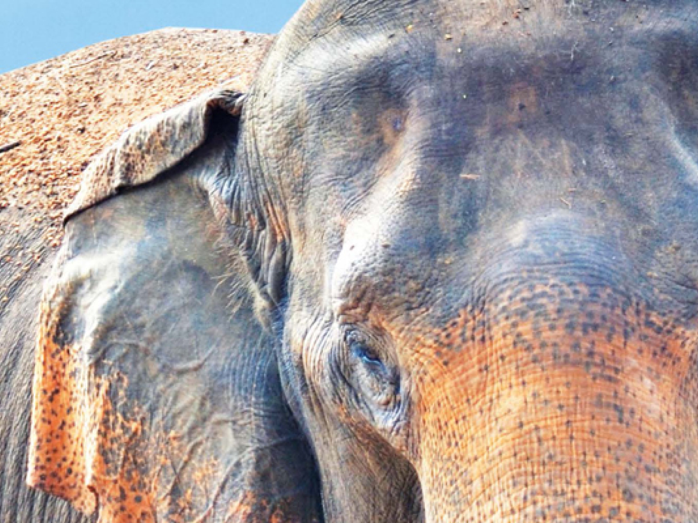 Towards a Crackdown on Food Waste