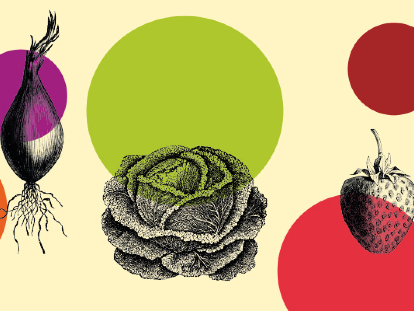 Il valore reale del cibo