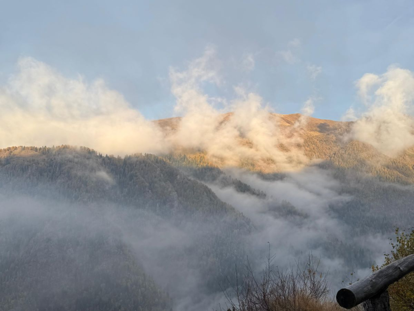 Caccia e biodiversità, la proposta di Fondazione UNA