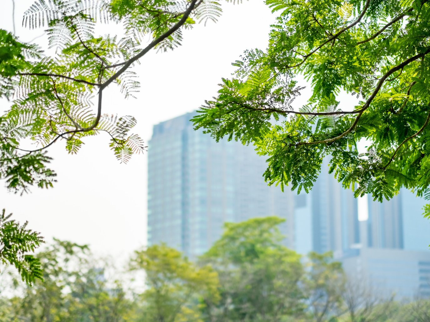 Carbon insetting: decarbonising the supply chain by regenerating ecosystems