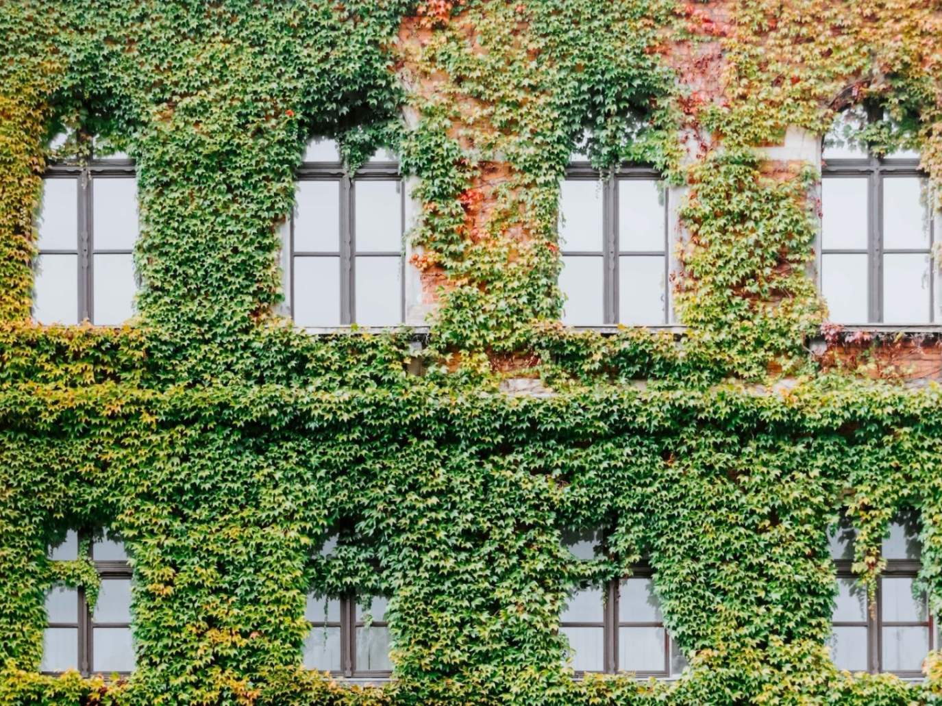 Torna Rebuild, a maggio il mondo dell’edilizia sostenibile si riunisce a Riva del Garda