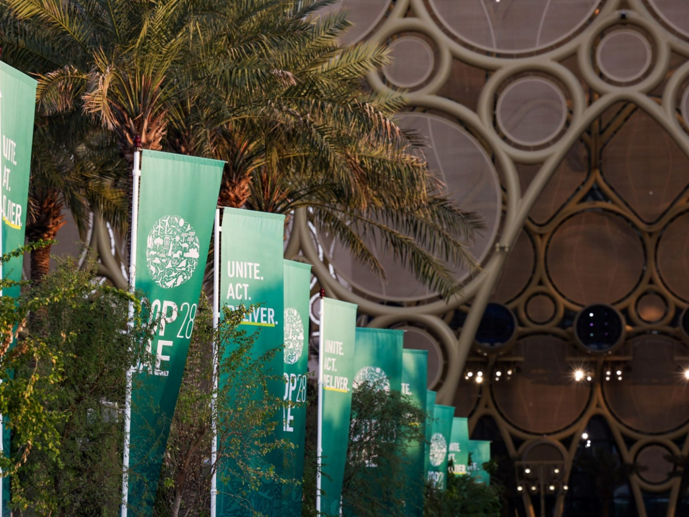 Is capturing CO2  necessary for the climate or for fossil fuel companies?