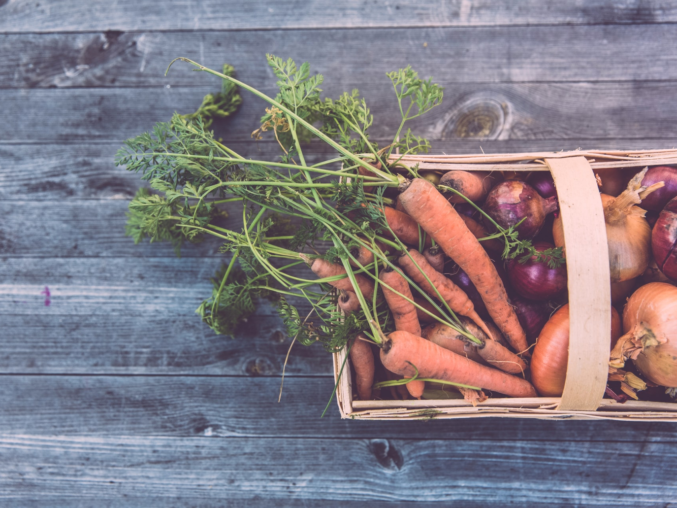 More Shadows Than Light on the Future of Food in Europe