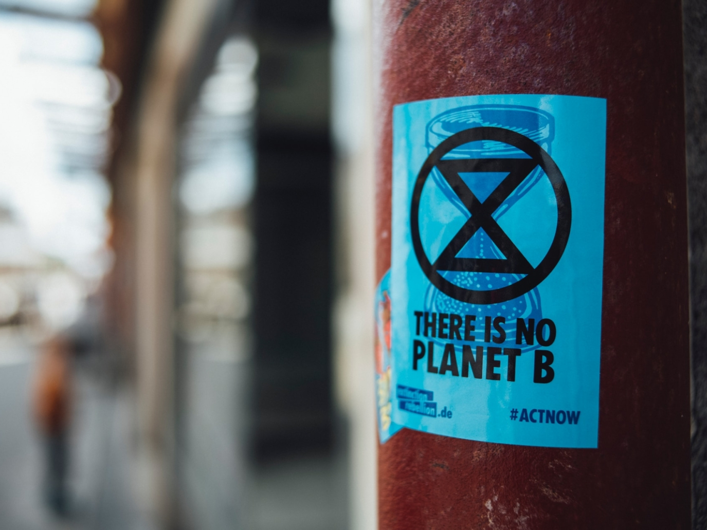 Un’eredità sostenibile: le aziende e il contrasto al cambiamento climatico